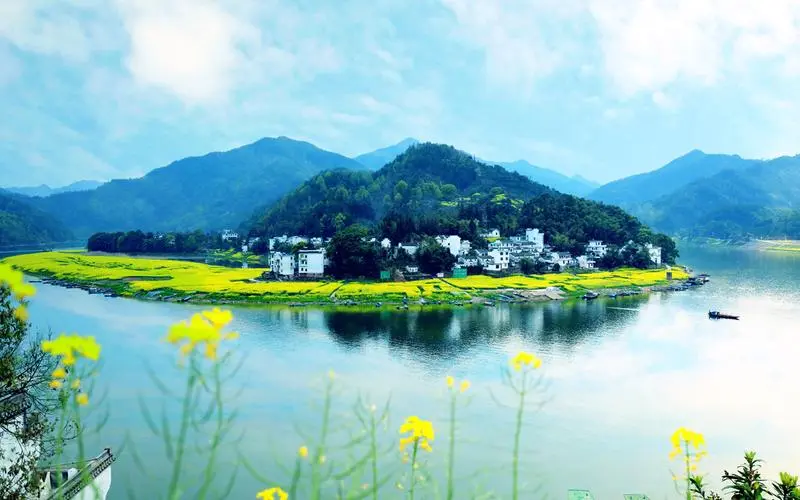 节能电子高端